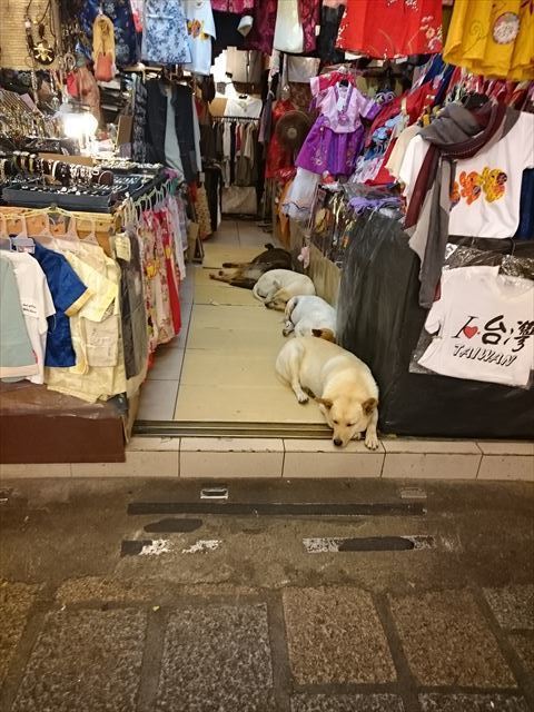 180506_76.jpg
