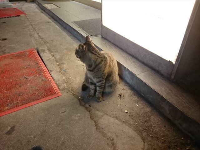 180506_80.jpg